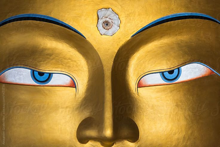 The Wellspring of 1000 Eyes