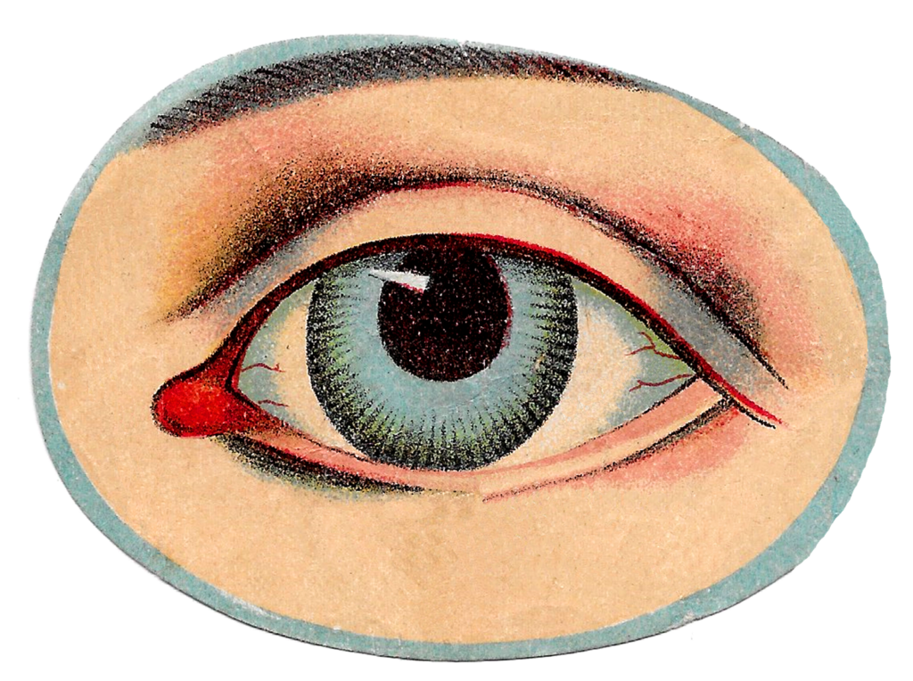 The Wellspring of 1000 Eyes