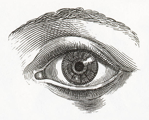 The Wellspring of 1000 Eyes